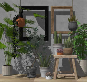 现代室内绿植盆栽su模型
