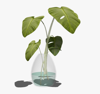 精品装饰花艺花瓶 绿植盆栽su模型