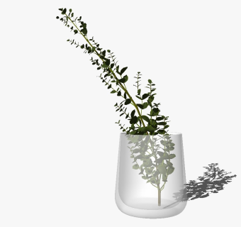 精品装饰花艺花瓶 绿植盆栽su模型