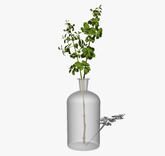 精品装饰花艺花瓶 绿植盆栽su模型