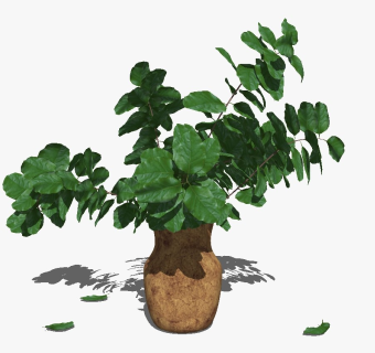 精品装饰花艺花瓶 绿植盆栽su模型