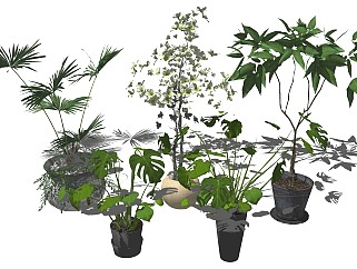 室内植物盆栽SU模型