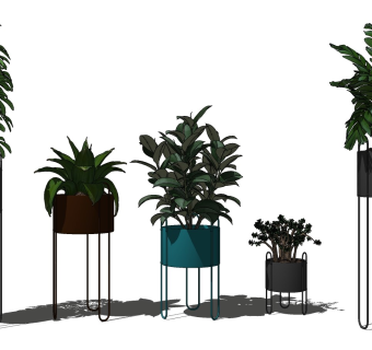 现代绿植花艺盆栽