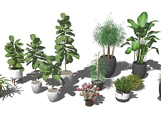 现代室内植物盆栽SU模型