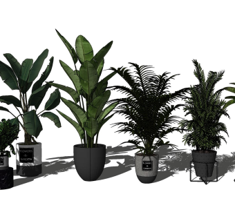 现代绿植盆栽组合
