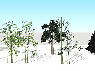 立体树木竹子3D模型