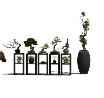 精品中式盆景花架盆栽植物su模型集合