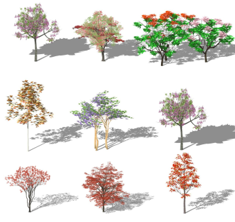 3d植物景观行道树色叶书乔木红枫造型树碧桃果树法桐