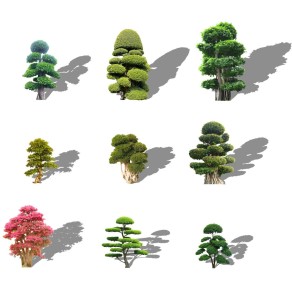 2d景观树景观植物造型树亮晶女贞红花继木桩老树桩造型白蜡榕树桩