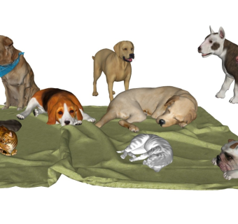 现代宠物动物组合