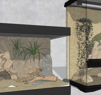 现代宠物养殖缸微景观