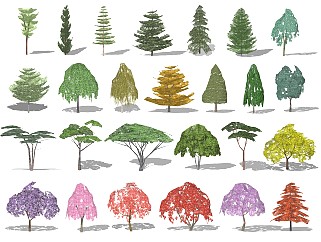 现代植物概念树背景树