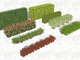 现代植物灌木丛绿篱组合植物盆栽