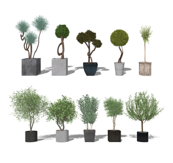 现代造型绿植盆栽盆景