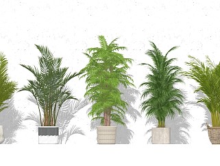 <em>现代室内</em>植物盆栽盆景 软装植物陈设