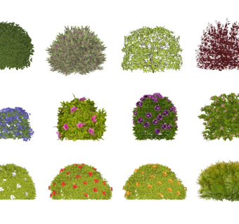 现代植物灌木球组合