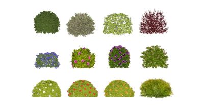 现代植物灌木球组合