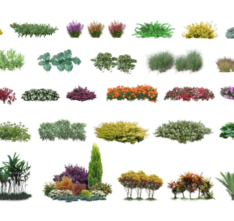 现代2D平面植物灌木花草