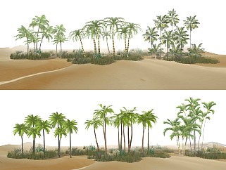现代棕榈树 热带植物 植物团组