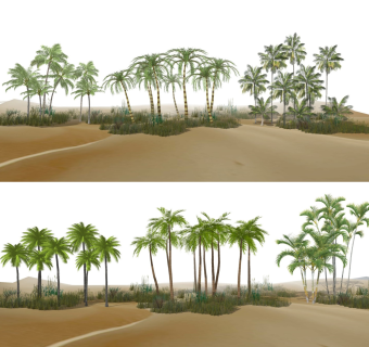 现代棕榈树 热带植物 植物团组