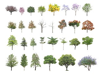 2D背景树<em>植物</em> <em>平面</em>树