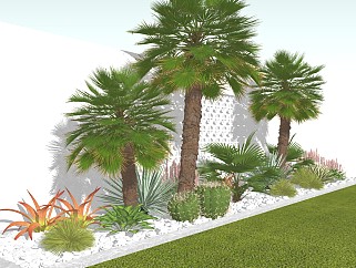 北欧庭院植物 棕榈树 仙人掌 盆栽盆景 花园景观