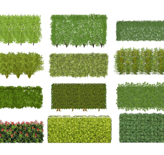 现代灌木丛 绿篱墙 绿植盆栽 植物围墙