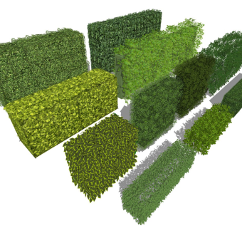 现代灌木丛 绿篱墙 绿植盆栽 植物围墙