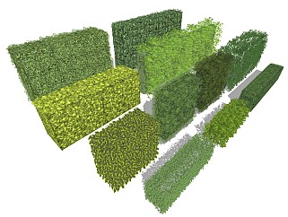 现代灌木丛 绿篱墙 绿植盆栽 植物围墙