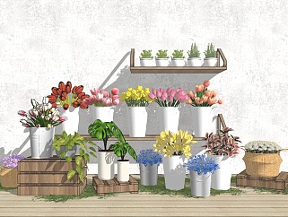 植物鲜花盆栽组合 花店花园 盆栽盆景