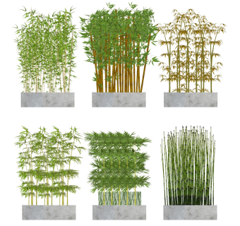 中式竹子盆栽盆景 庭院植物 中式禅意景观