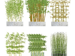 中式竹子盆栽盆景 庭院植物 中式禅意景观