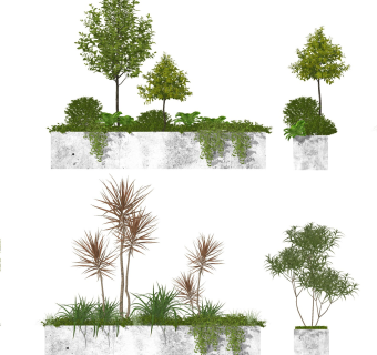 现代植物盆栽盆景 七彩铁千年木 庭院景观