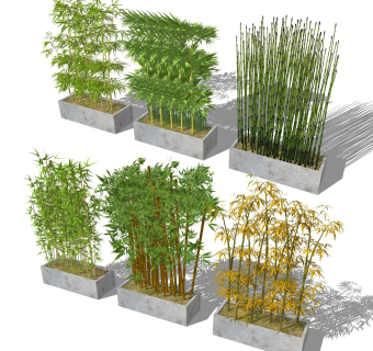 中式竹子盆栽盆景 植物灌木