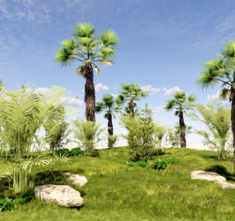 现代棕榈树群组景观 热带植物 植物组合 葵树