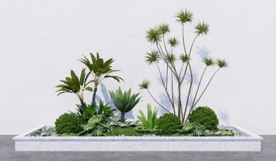 现代植物盆栽盆景 景观小品 灌木花草苔藓