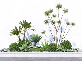 现代植物盆栽盆景 景观小品 灌木花草苔藓