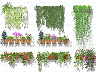 现代阳台植物花草盆栽 悬挂垂吊植物