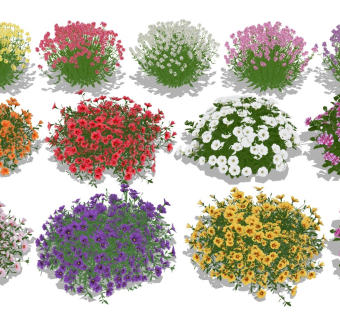 现代灌木球 植物花草盆栽 花园庭院景观植物