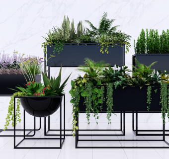 现代植物盆栽盆景植物灌木组合花箱