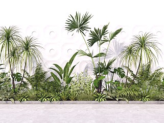 现代<em>庭院绿植</em> 灌木丛 观赏植物 棕榈 盆栽 植物组合