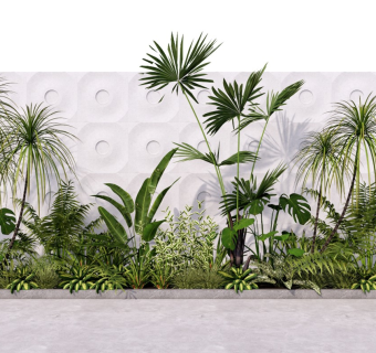 现代庭院绿植 灌木丛 观赏植物 棕榈 盆栽 植物组合