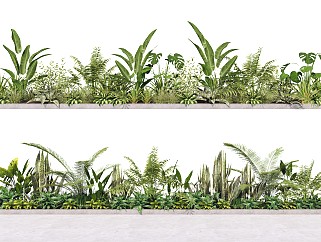 現代庭院綠植 灌木叢 觀賞植物 棕櫚 盆栽 植物組合