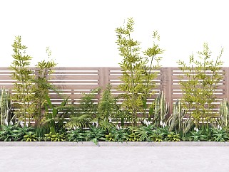 現代庭院綠植 灌木叢 觀賞植物 棕櫚竹子 盆栽 植物組合