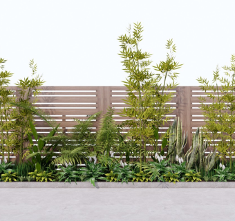 现代庭院绿植 灌木丛 观赏植物 棕榈竹子 盆栽 植物组合