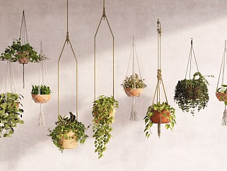 现代悬挂植物垂吊盆栽 装饰绿植