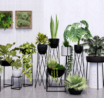 现代室内装饰植物盆栽组合 绿植花草 盆栽盆景 灌木