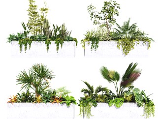 现代植物灌木盆栽组合 花箱花卉 植物景观 灌木花草