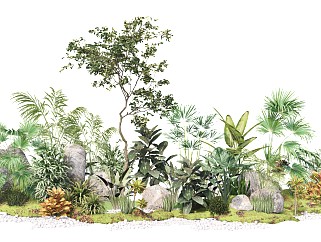 现代植物组合 灌木乔木花草 园林景观小品 石头苔藓植物丛