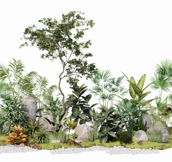 现代植物组合 灌木乔木花草 园林景观小品 石头苔藓植物丛